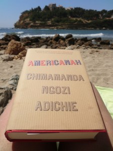 Americanah (2)