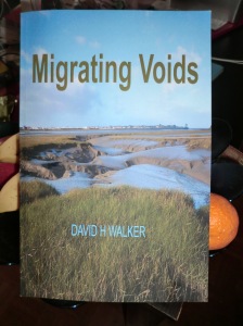 Migrating Voids
