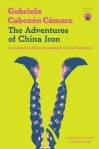 The Adventures of China Iron Translated Fiction Argentina Martin Fierro
