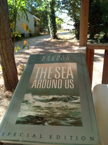 The Sea Around Us Rachel Carson