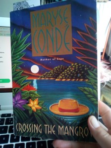 Maryse Conde Crossing the Mangrove WIT Month