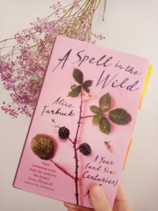 Magic witchcraft spells Tituba Isobel Gowdie