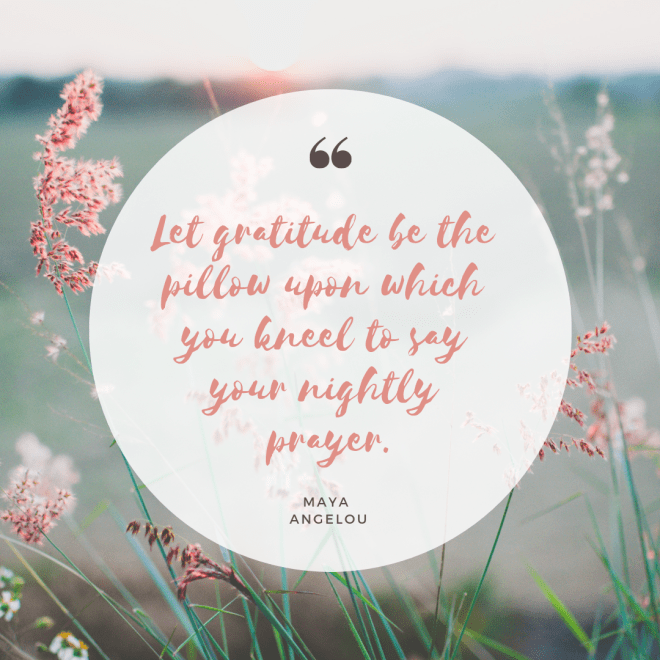 gratitude Maya Angelou Delphine de Vigan