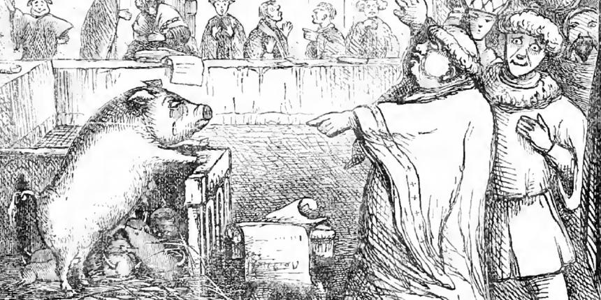 A sow on trial in at Lavegny in 1457 from The Book of Days
