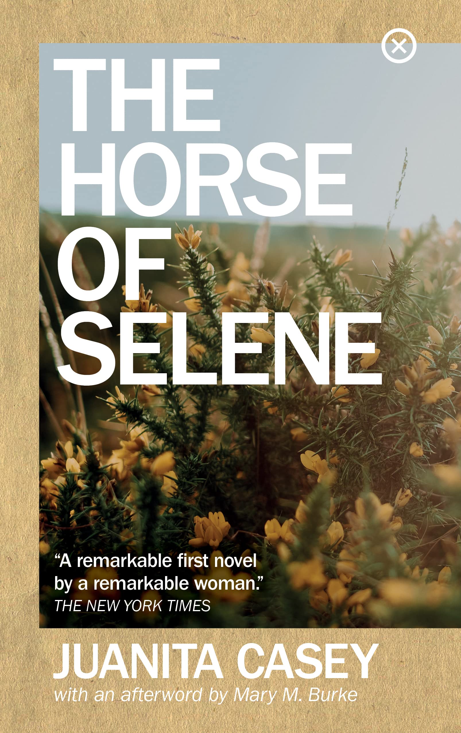 Irish literature, feminist cult classic